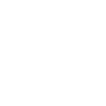 SkinBid Logo
